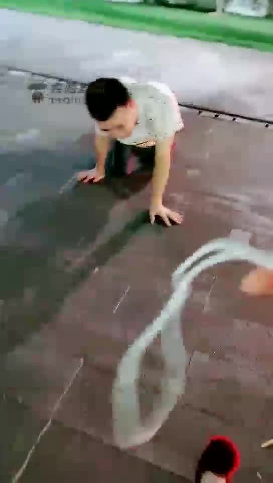 晚上户外 遛狗 玩乐