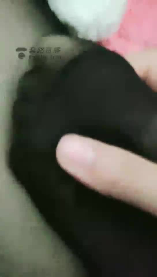 黑丝踩踏 凯蒂猫玩偶
