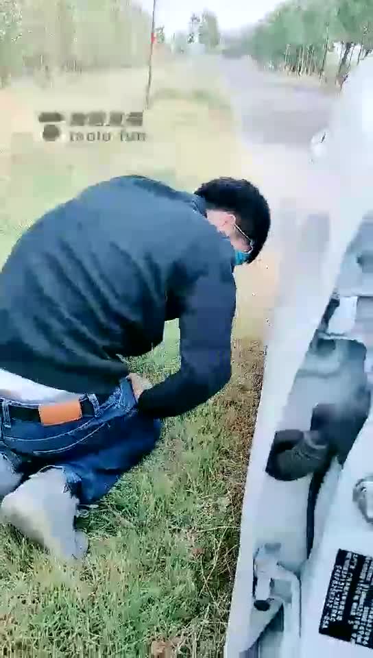 野外舔脚 喂狗 抽屁股