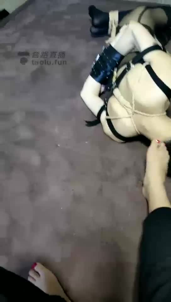 调教圈养奴