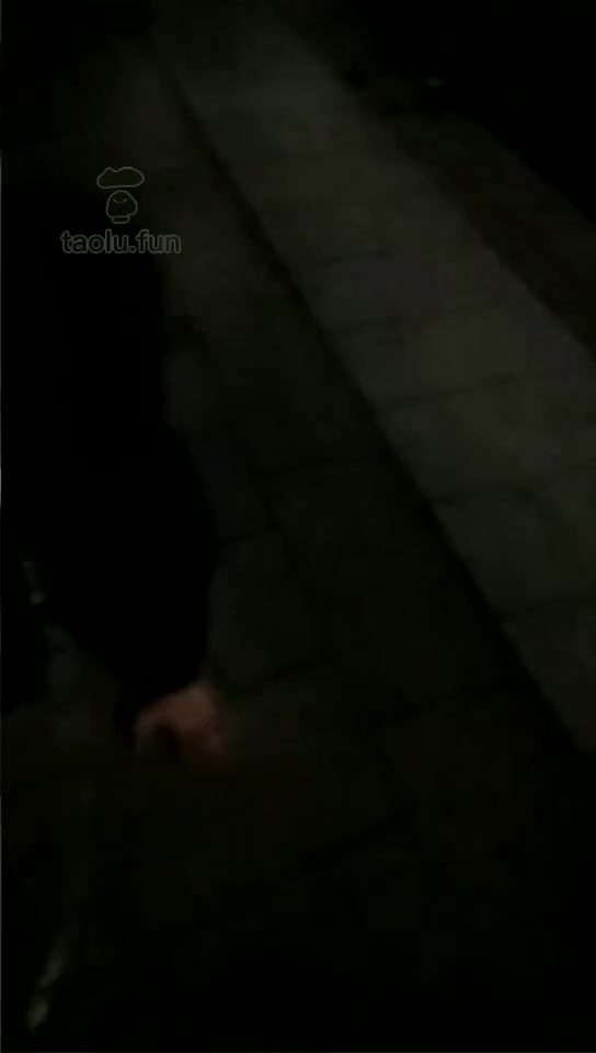 冬季遛非物狗东西 户外调教