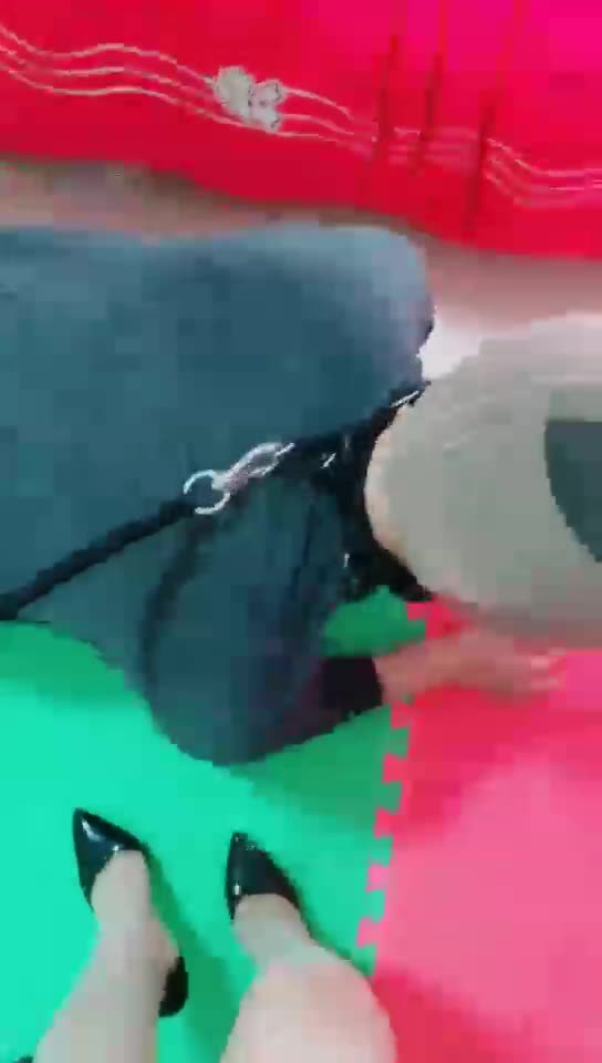 调教第一次的贱狗子