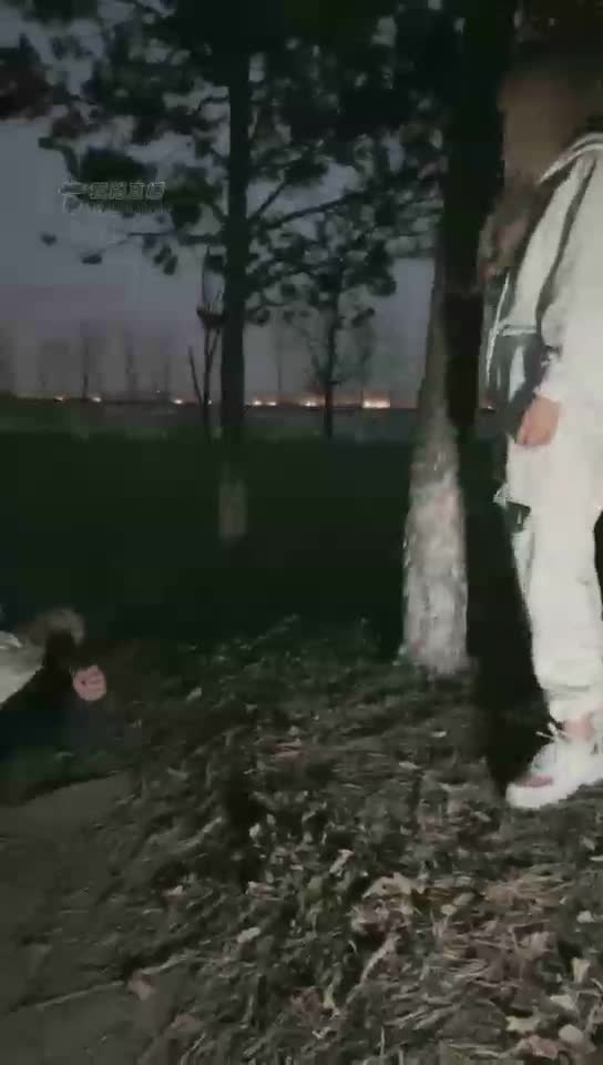 高清 户外暴力踹脸 舔鞋底吃泥巴
