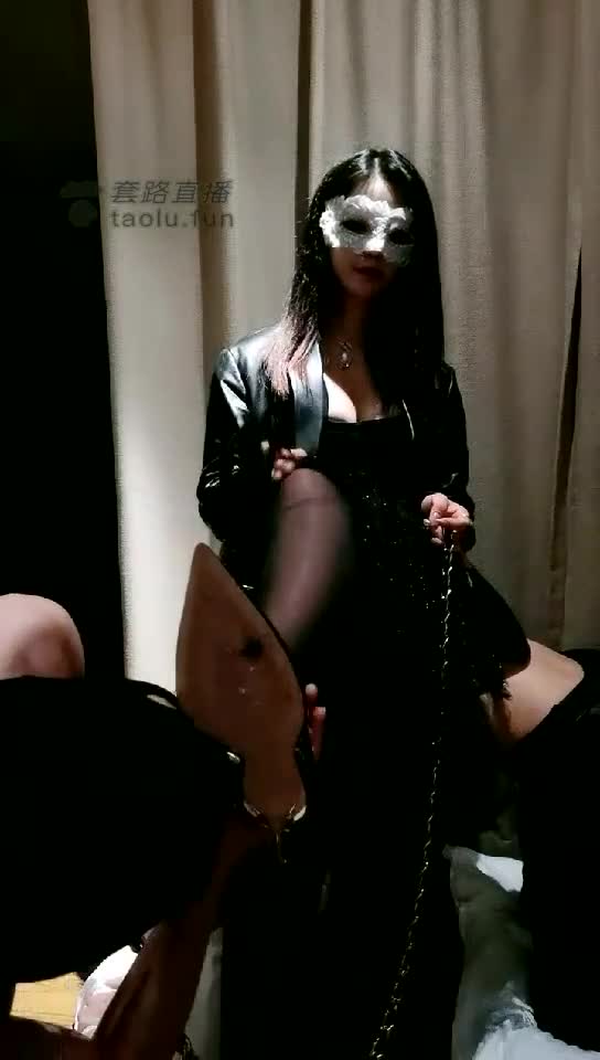 黑丝女神玩两条狗 没尊严啊
