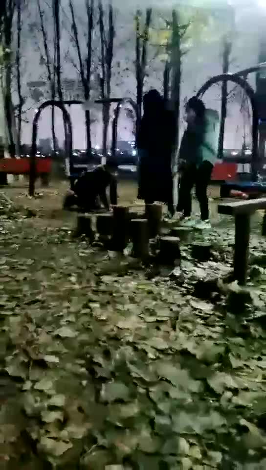 户外双主训狗