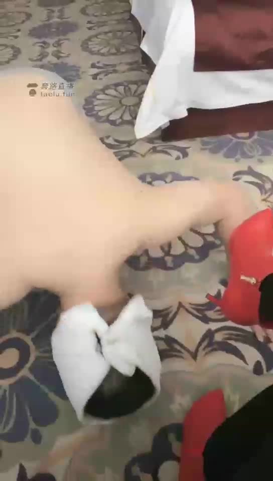 夫妻俩调贱狗