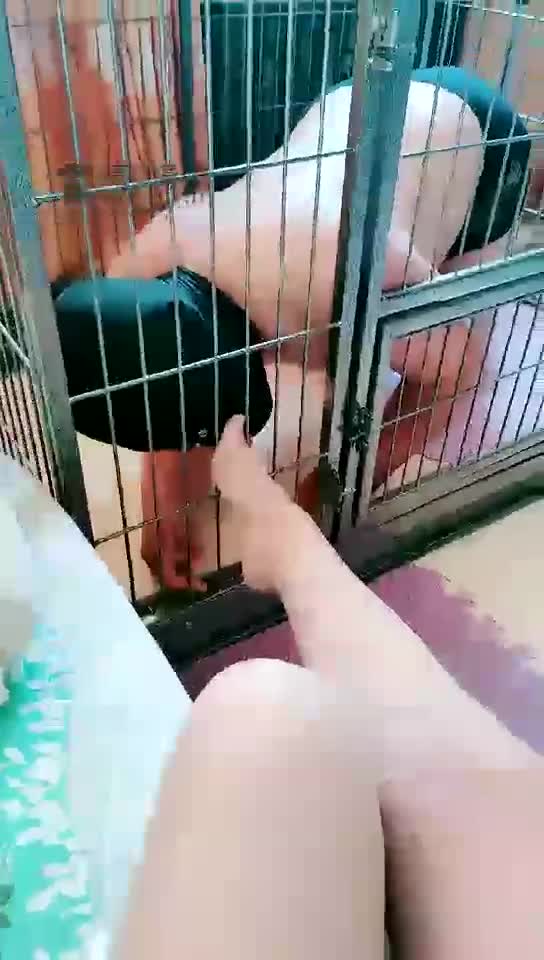 圈养一天的贱货拉出来溜溜