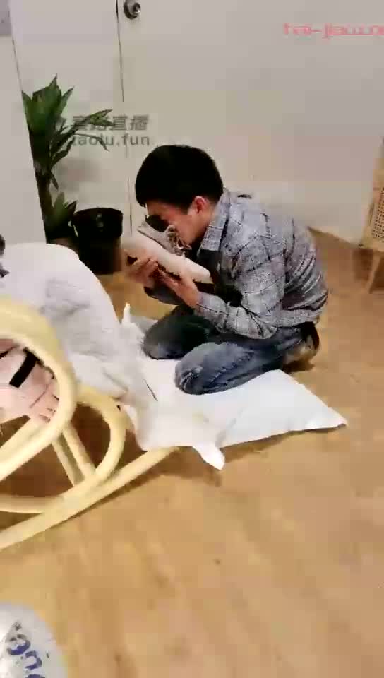 情侣主玩小奴