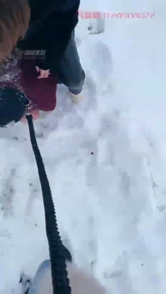 和妈妈学弟野玩 舔高跟上的雪好羞辱
