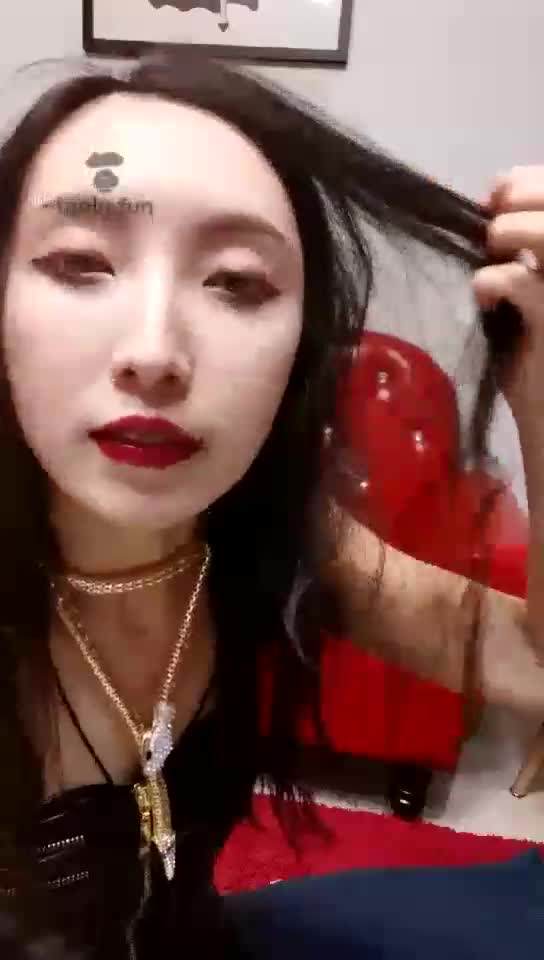 玩伪娘CD狗
