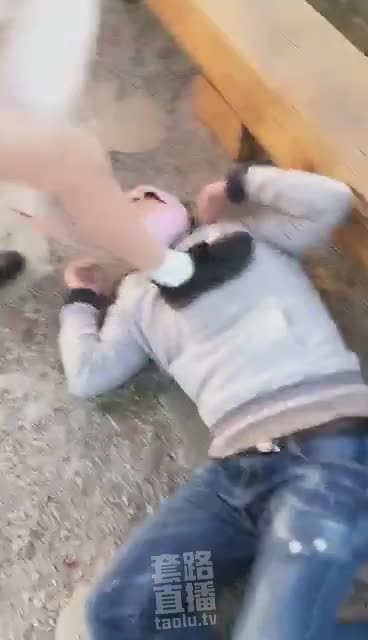 公园遛狗
