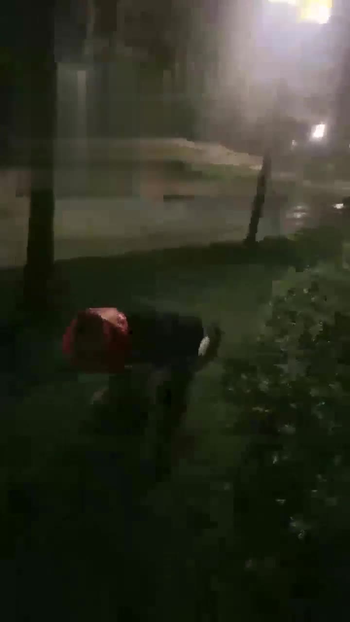 户外小区楼下 随便遛一下狗