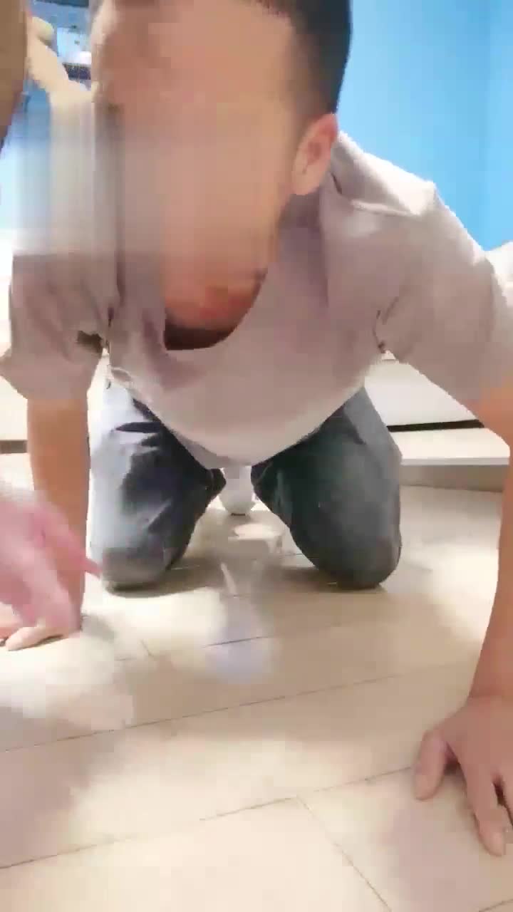 暴击工地狗