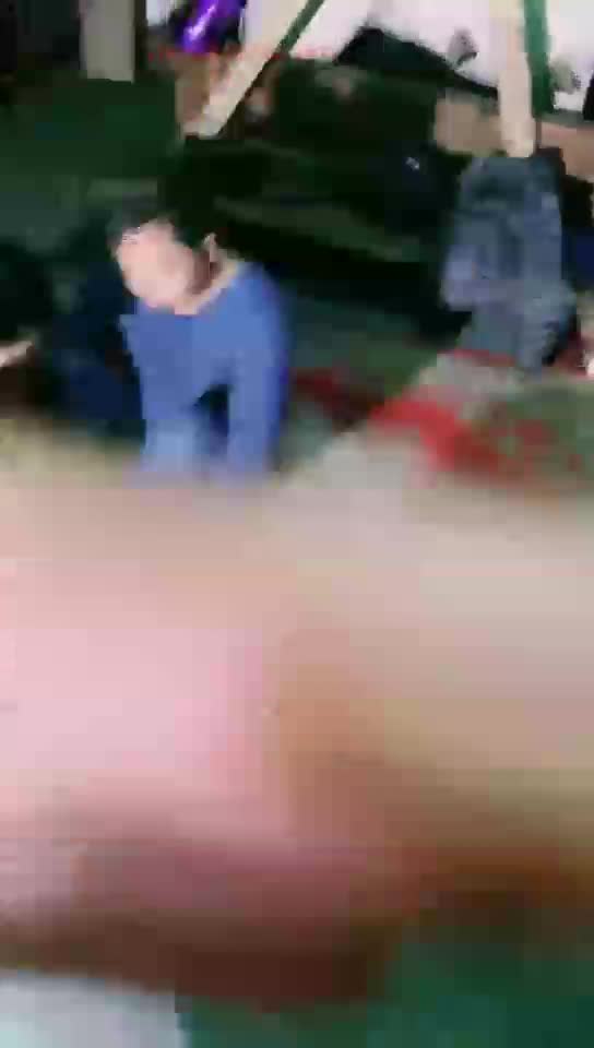 玩玩小乌龟