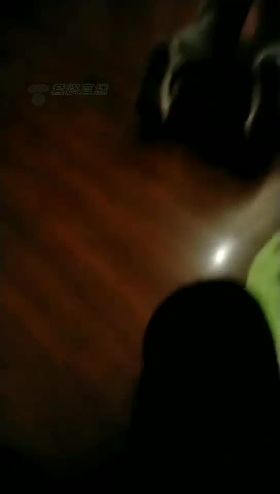 新s首播玩狗狗