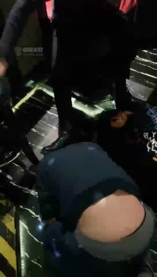 KTV训两条狗奴