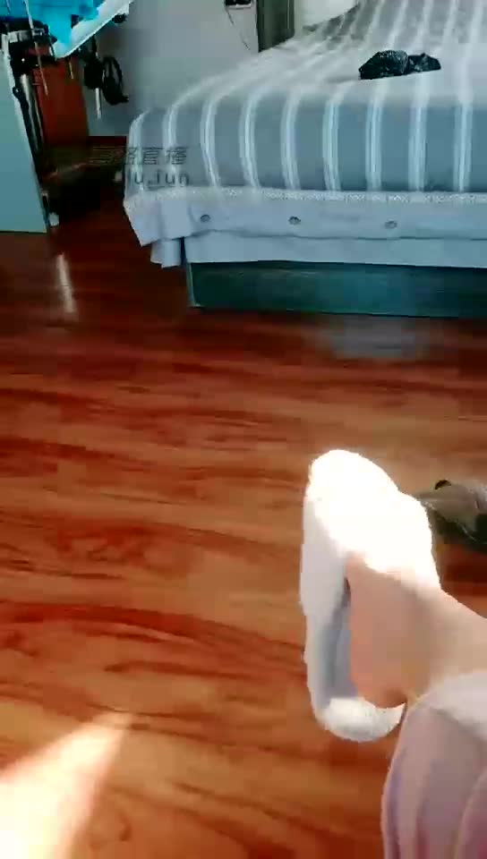 愿意做奴还是做狗 狗狗吃饭