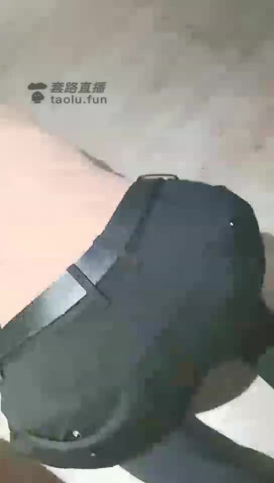 美主训双狗 下