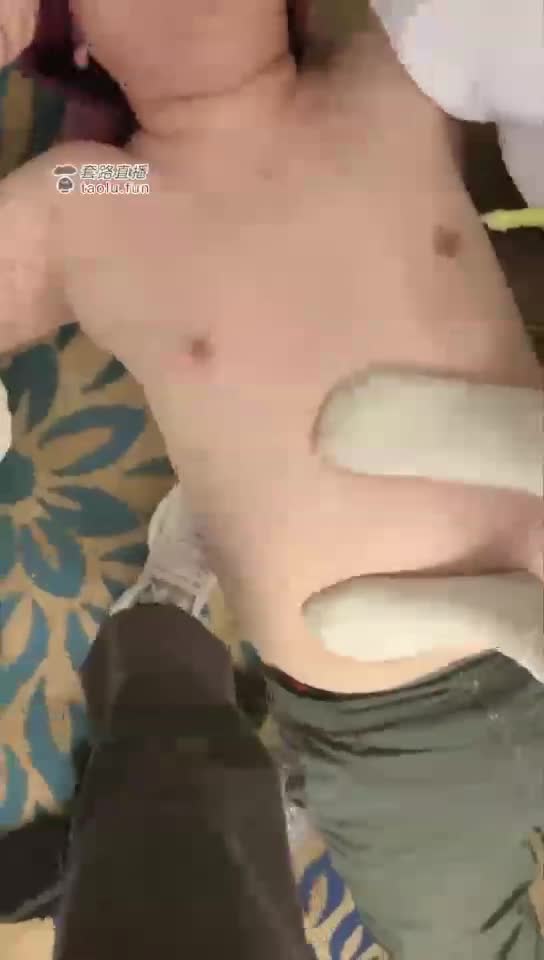 双主调狗