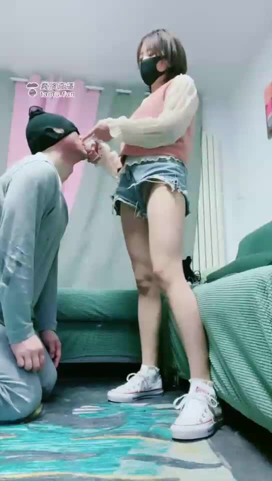 500耳光 狗是训练出来的