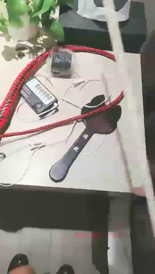 美主训双狗 上集