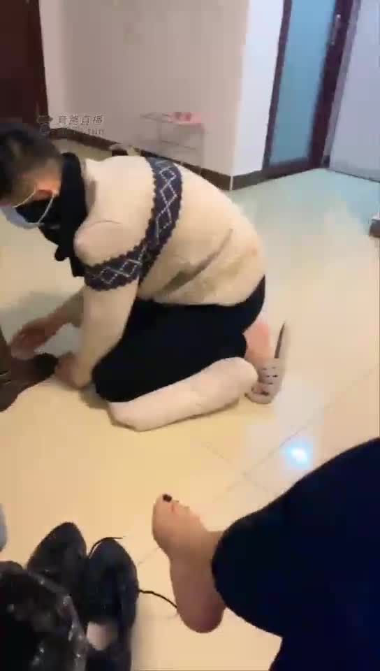 双主调狗清理脚丫