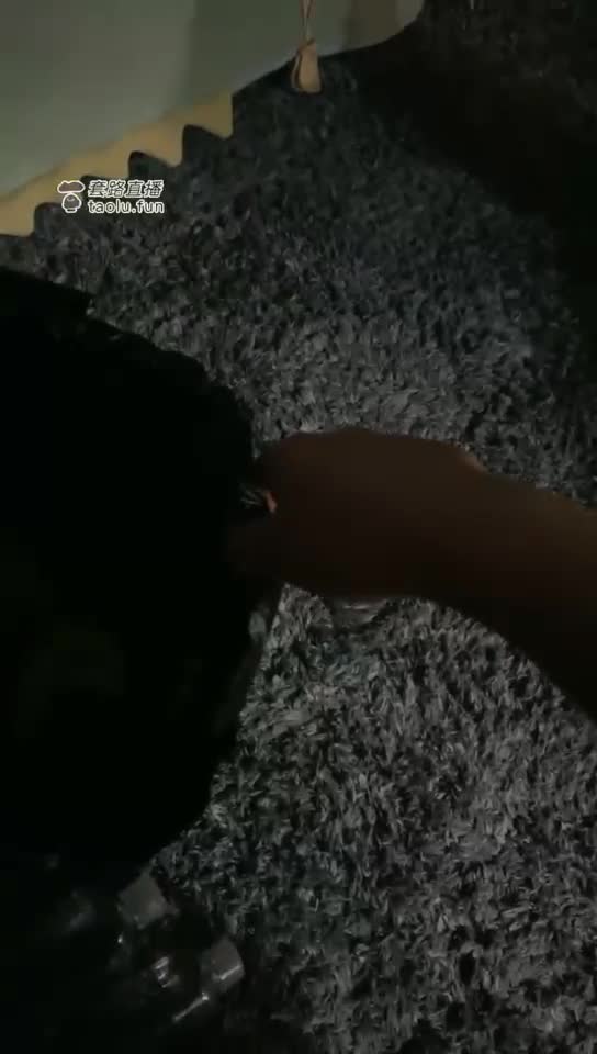 失败的调教 失败的狗