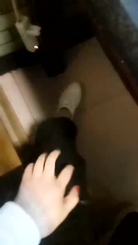  火锅店调教 准备就绪上完菜立刻开始