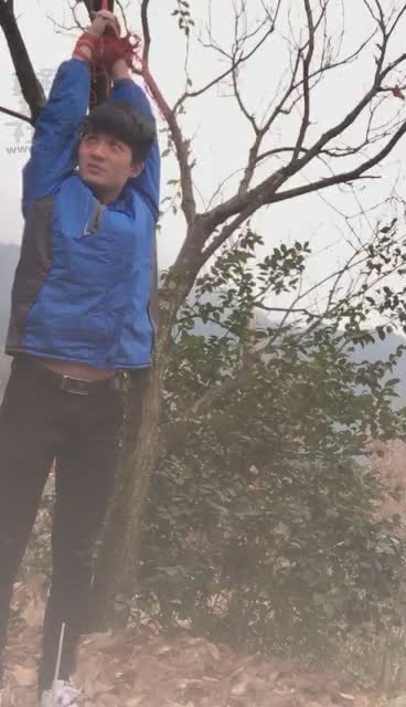  深山老林 重度吊打