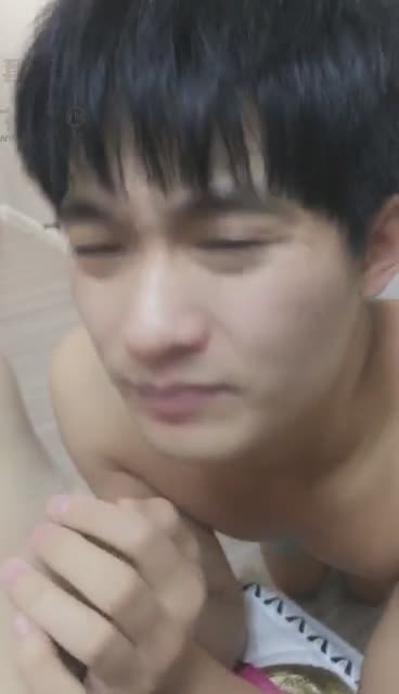  怎么玩狗 你说了算