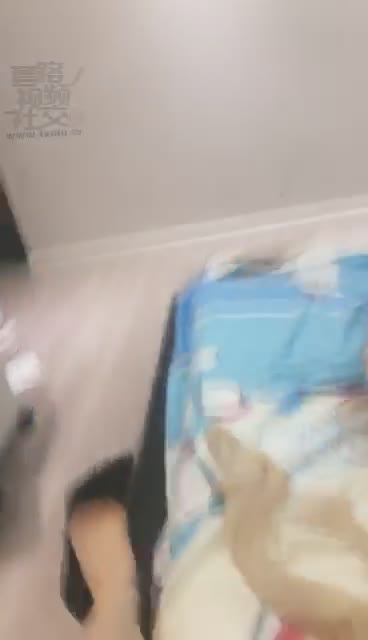  把我家的奴才挨个调教到射出来