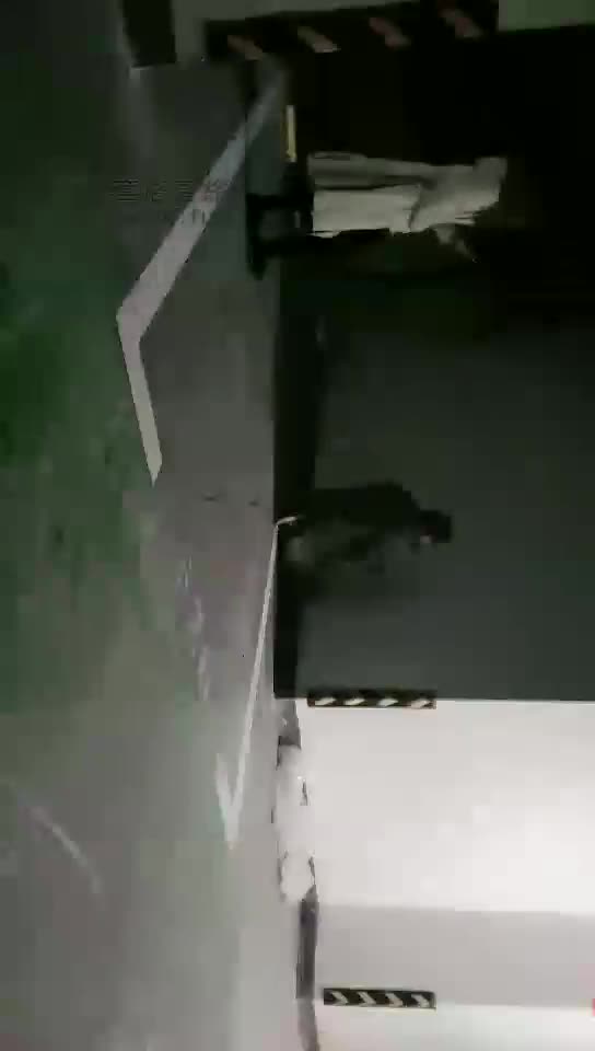 地下停车场双s收拾贱狗
