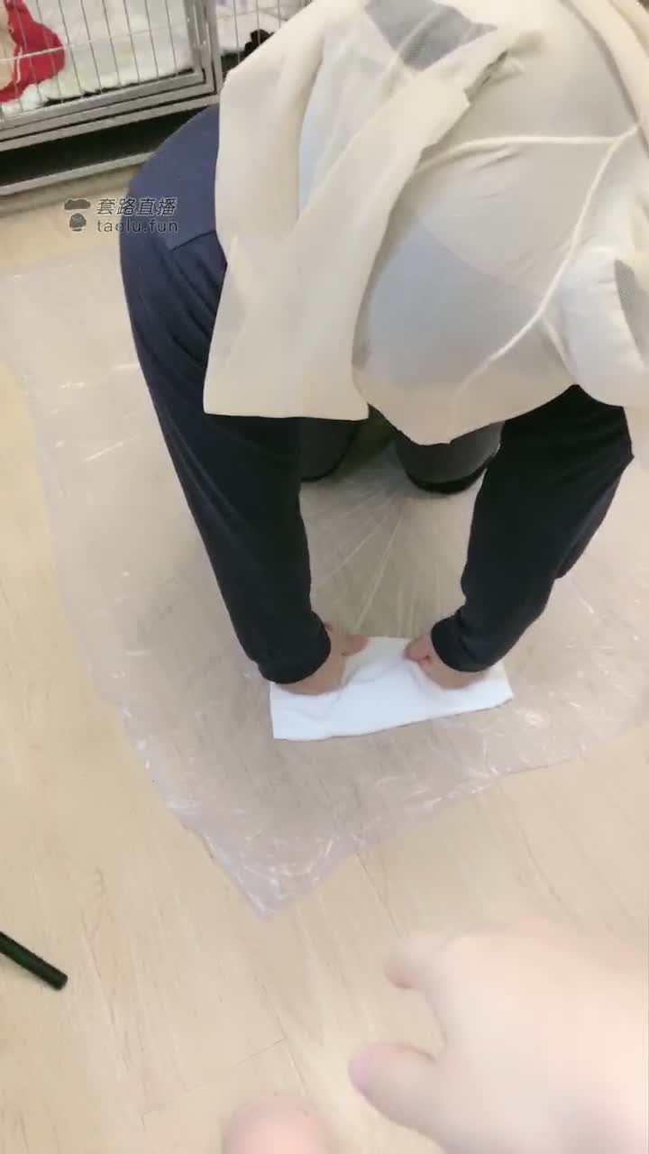 超清版 生活化严厉训狗奴 推荐