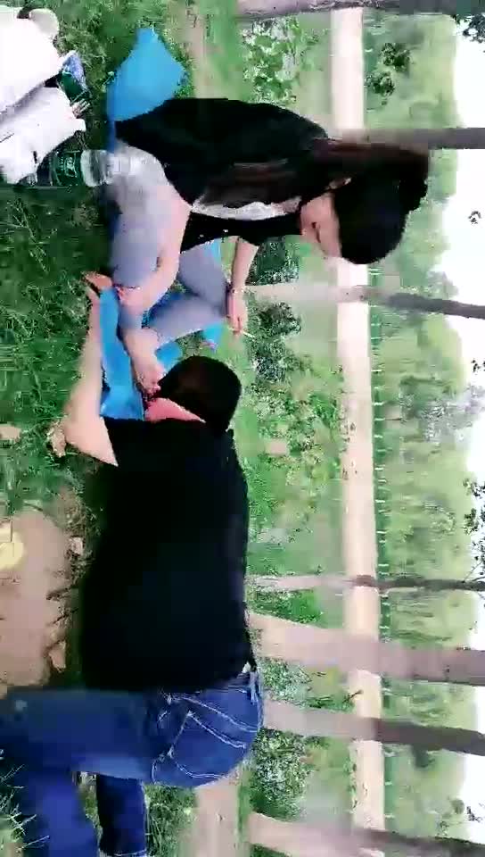 骑马遛狗 户外风光无限好