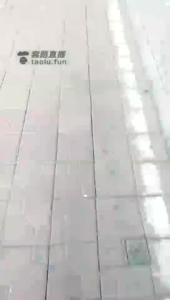 公交逗狗第二部