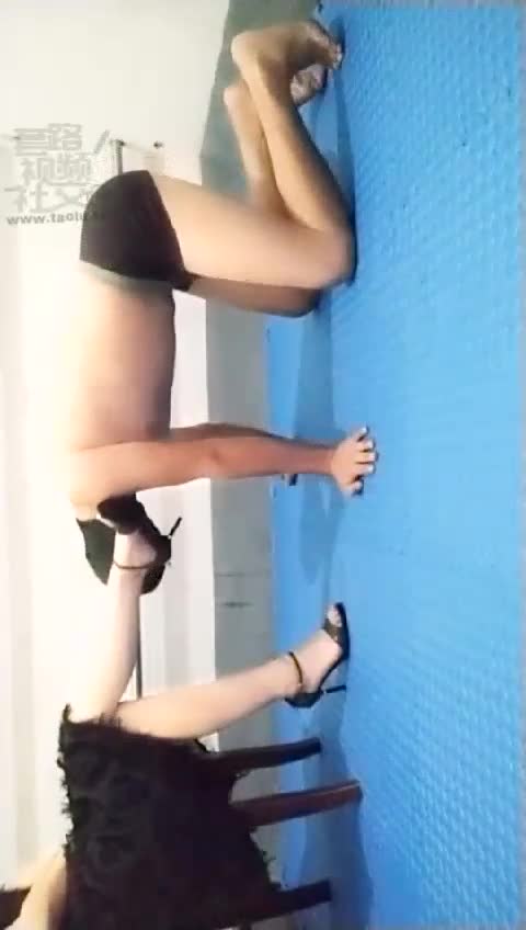贱狗都去哪里了