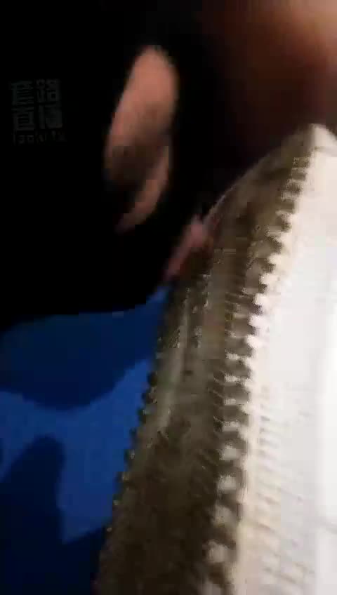好久没有调教了
