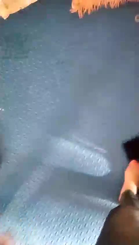 调教贱狗 推荐