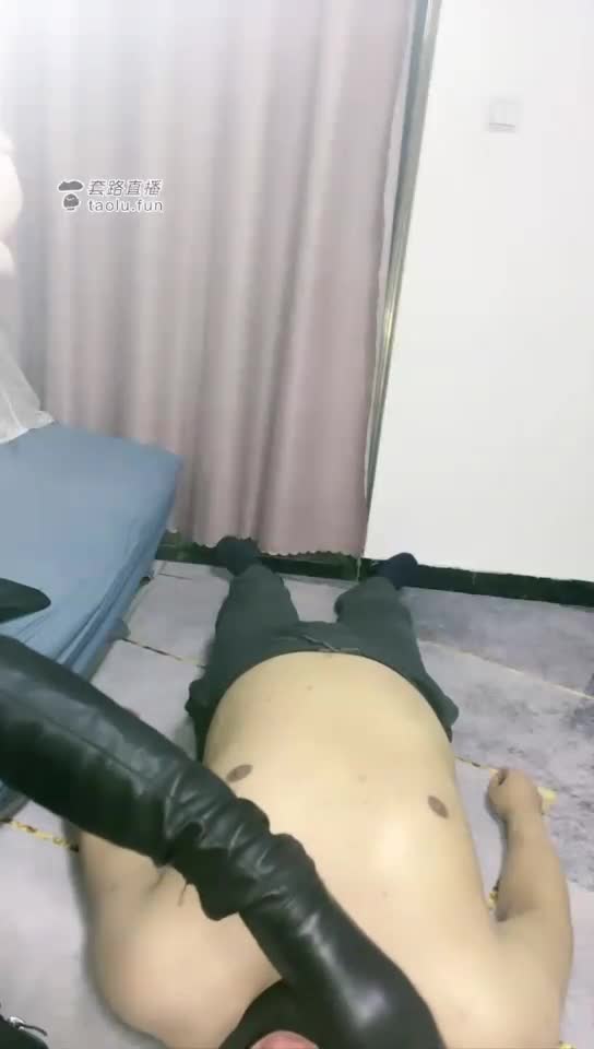 长靴 玩狗