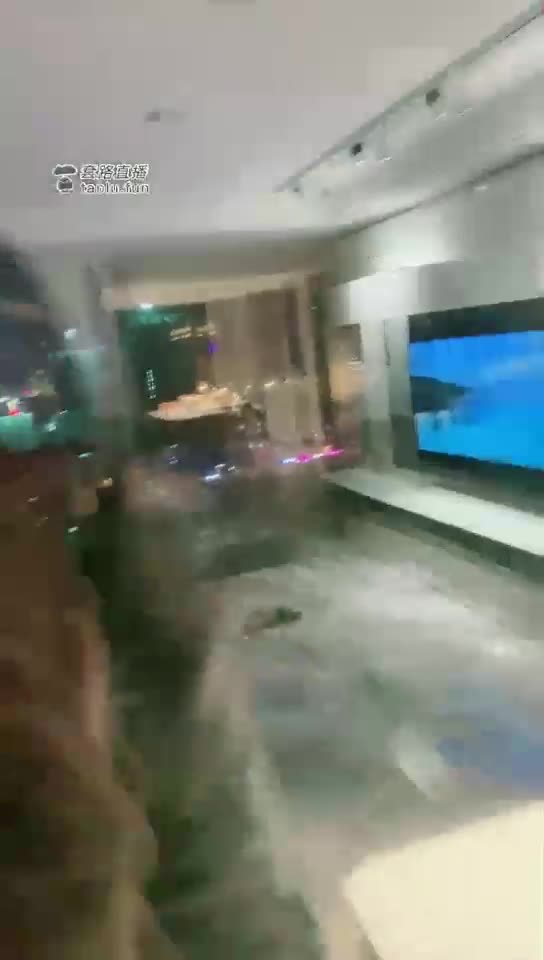 新家老狗伺候着