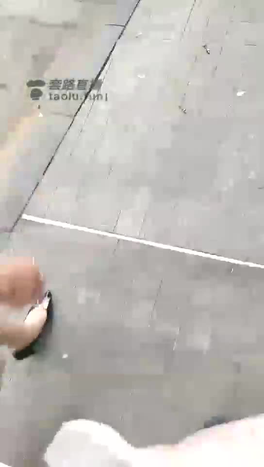 大白天公园遛狗