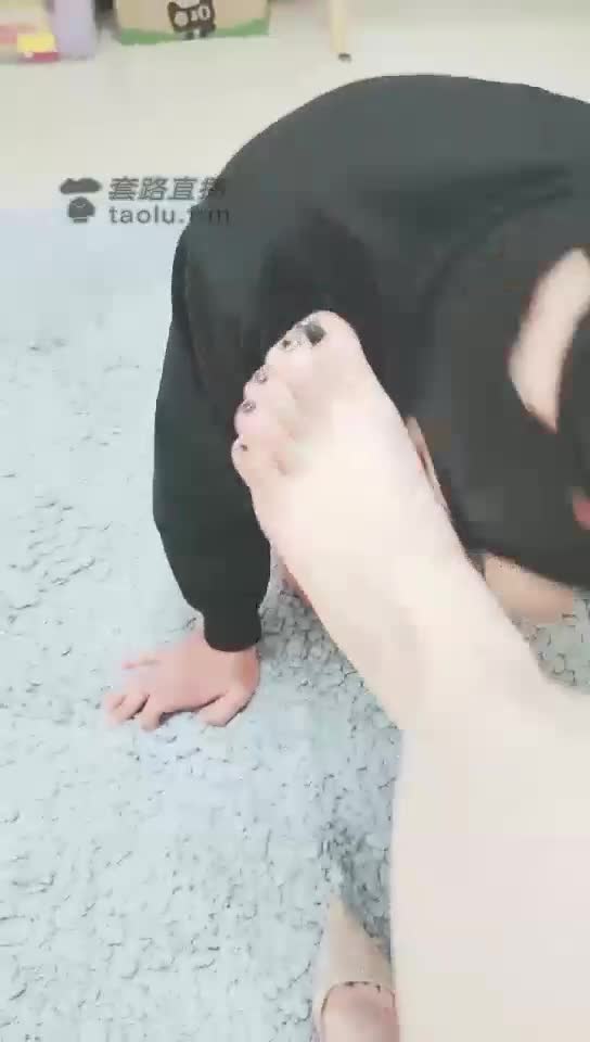 洗脚 啃脚皮 恋足的狗狗