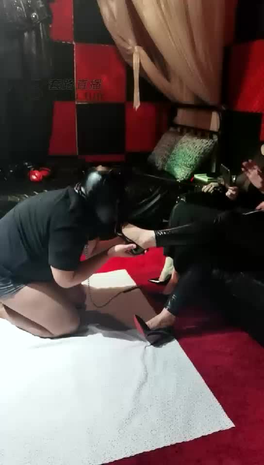 超清版 带闺蜜一起玩狗