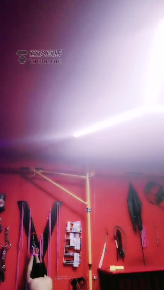 调教室玩狗奴