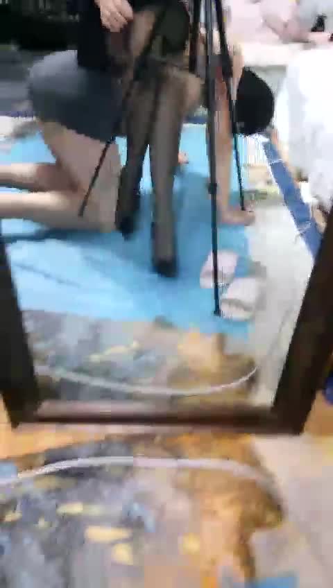 直播踩髓小奶狗