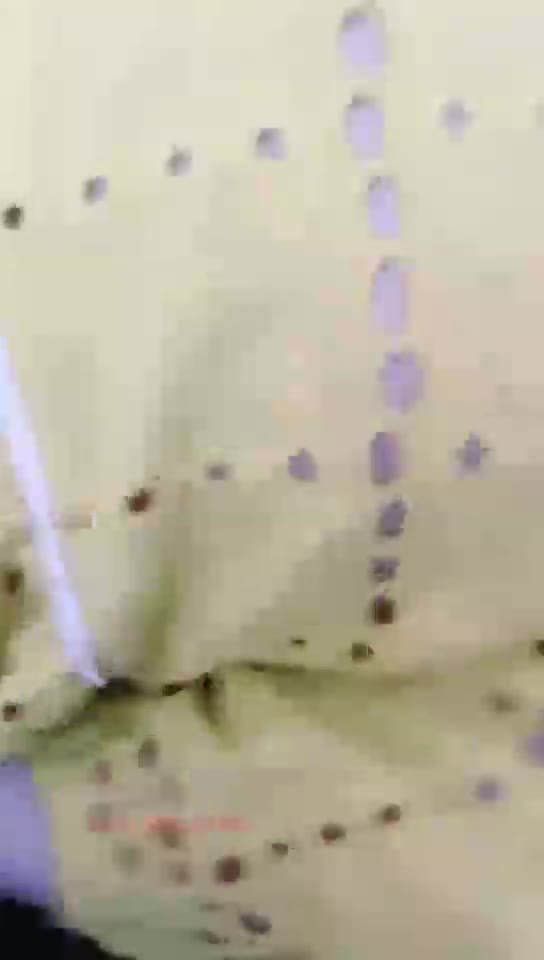 调教小母狗和足疗技师