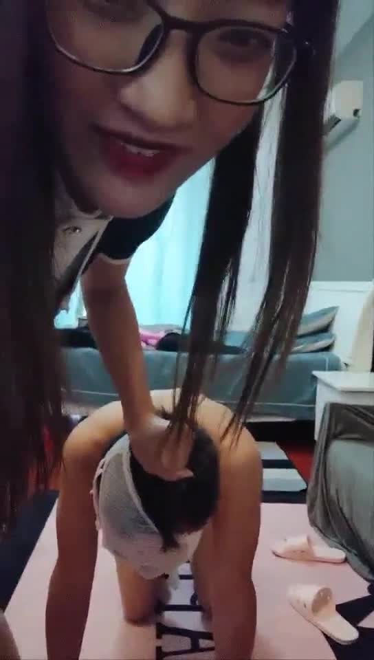 调教两条贱狗