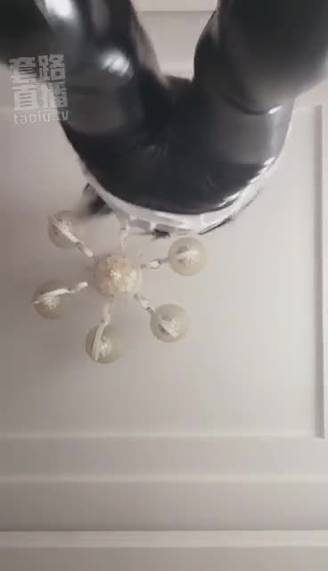 皮裤 上帝视角 红绿灯 倒计时