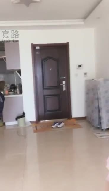 拳击狗脸晨练踩踩全体重头上跳舞爆