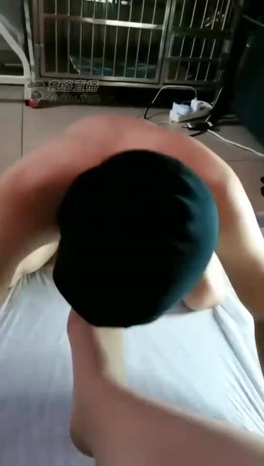 双s玩小奶狗